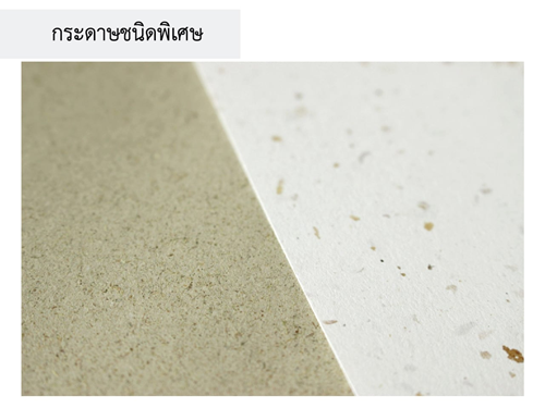 กระดาษชนิดพิเศษ กระดาษชนิดพิเศษ